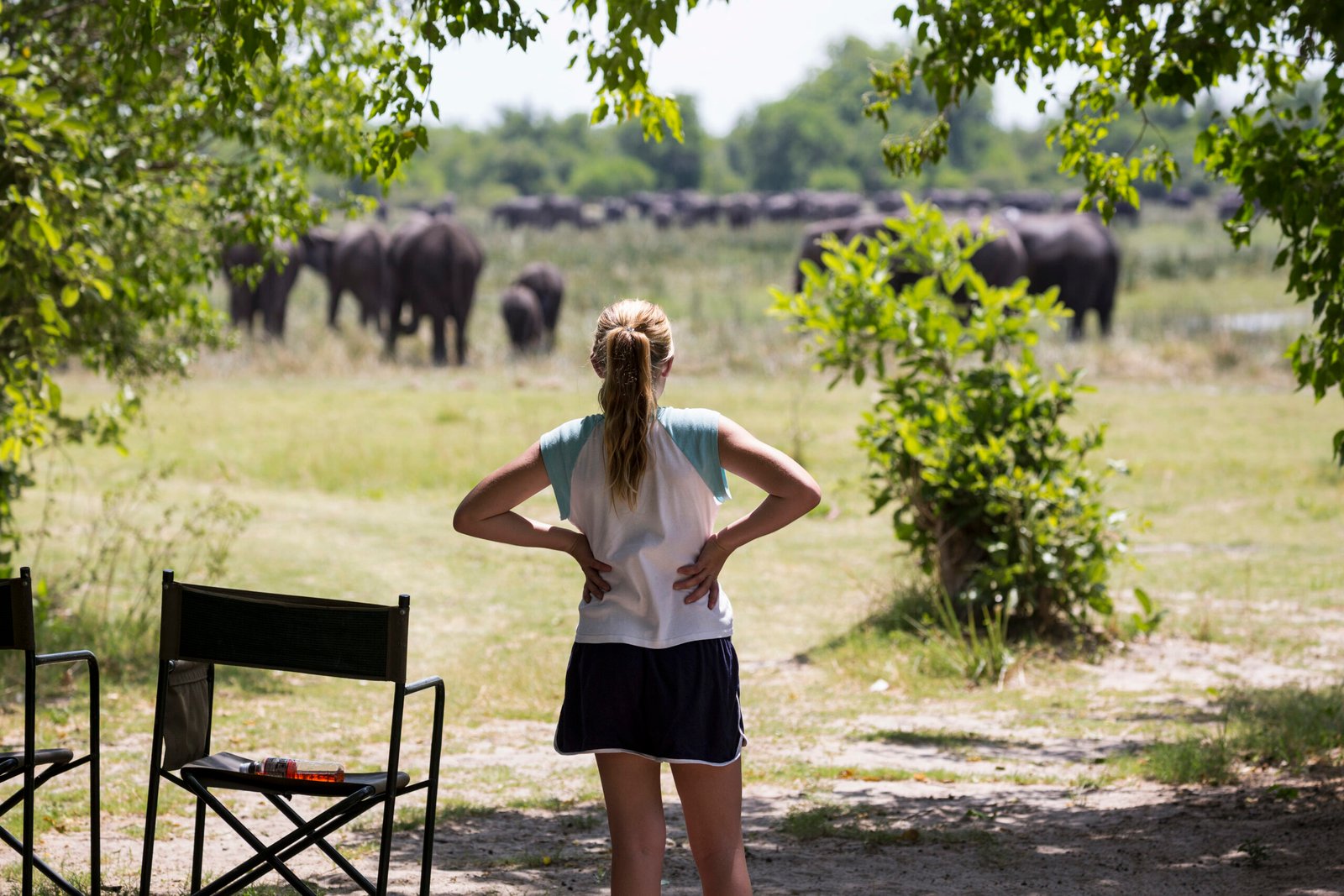 10 hours full day Udawalawe safari with elephant encounter from jeep