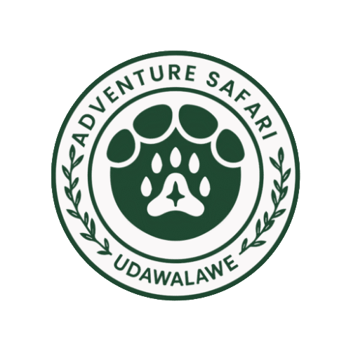 udawalaweadventuresafari.com