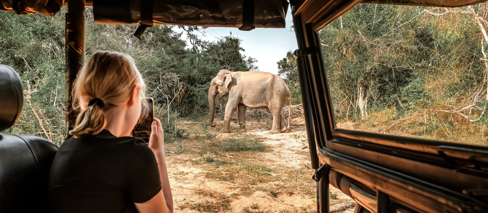 4 hours Udawalawe safari package with wildlife viewing from a private jeep